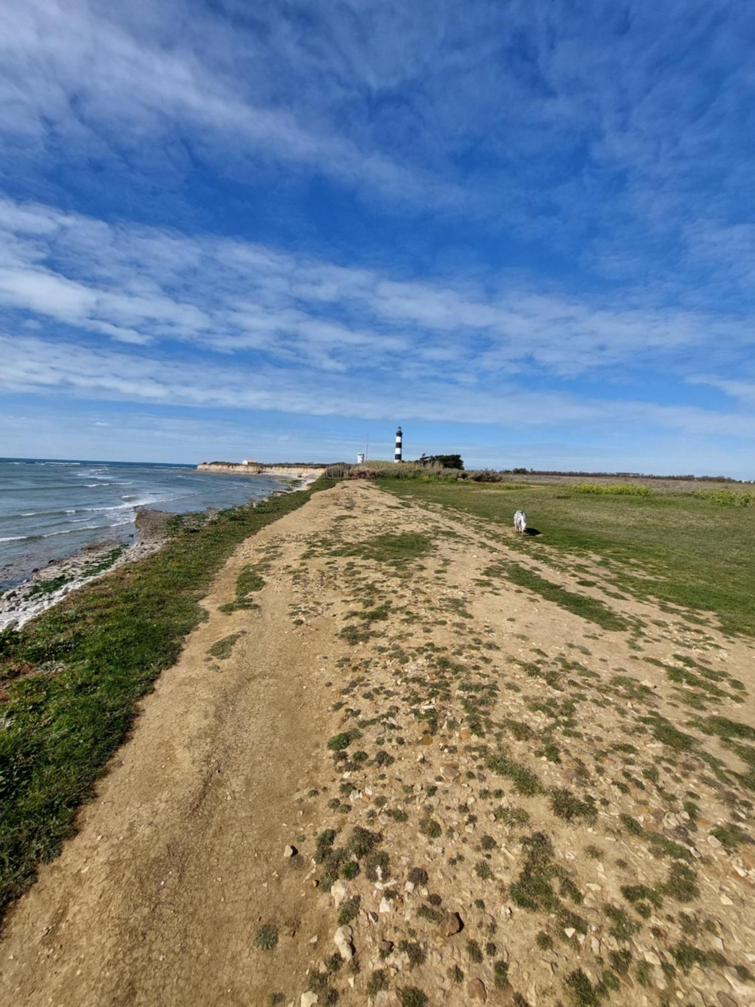 Maison A 8 Min A Pied De La Plage Avec Jardin Clos Et Ombrage Saint-Georges-d'Oleron Zewnętrze zdjęcie